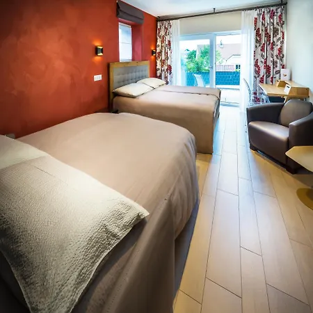 Manoir Du Vignoble Hotel Vionnaz